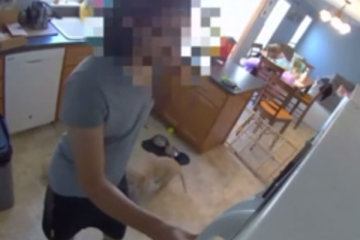 Dog walker caught on cam raiding family’s fridge