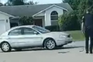 WATCH: Dog gets stuck in spinning car in cul-de-sac