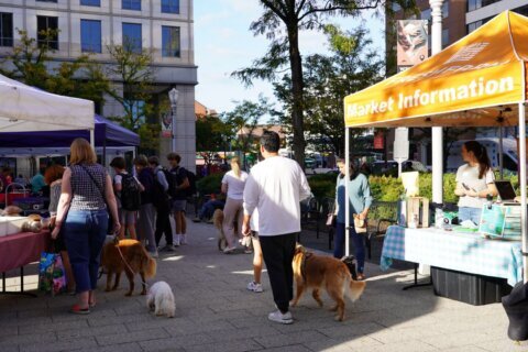 Ballston farmers market expands (and you can get a free drink)