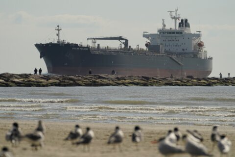 Environmentalists protest as Biden administration approves huge oil export terminal off Texas coast