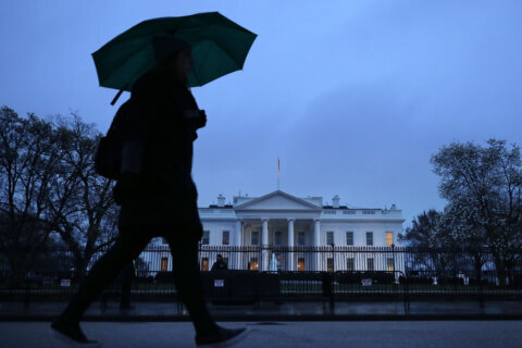 Wet weather, whipping winds set to strike DC area Sunday