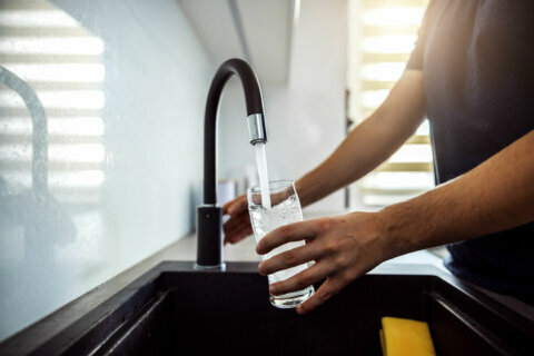 ‘Spring cleaning’ for your pipes? Here’s why your tap water might smell funny until May