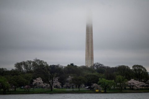 Storms move into DC area late Thursday evening, bringing risk of flooding, 30 mph winds