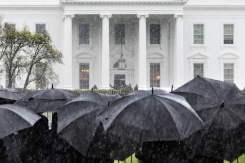 Storms dump graupel in parts of the DC region Thursday. What even is that?