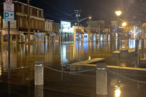 Flooding in Annapolis