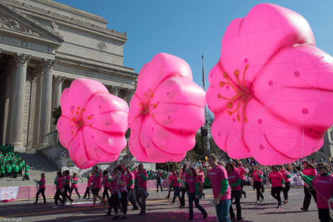 Parade, Japanese festival bring music, culture, cherry blossom memories to DC this weekend