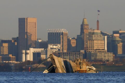 Financial help for small businesses affected by Baltimore Key Bridge collapse