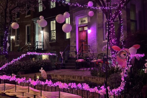 Petal Porches: DC’s unique cherry blossom yard-decorating tradition