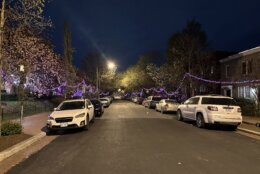 <p>Cherry blossom designs adorn this D.C. neighborhood.</p>
