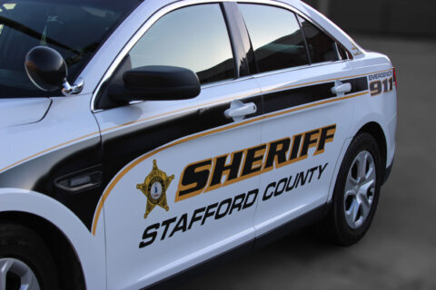 Sheriff: Carjacking suspect armed with chain saw in Stafford Co. said he was doing landscaping work